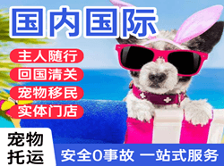大庆机场托运国际宠物托运 【国